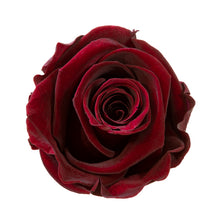 4 Roses  Velvet Square Box