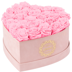 Heart with more than 25 roses