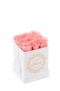9 S sizes Roses Velvet Square box