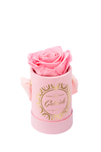 1 Rose Round