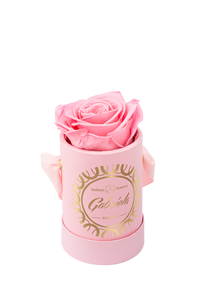 1 Rose Round