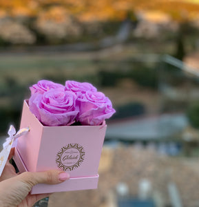 4 Roses  Velvet Square Box