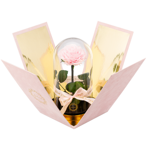 The Magic of ''The Little Prince Rose''