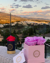 4 Roses  Velvet Square Box