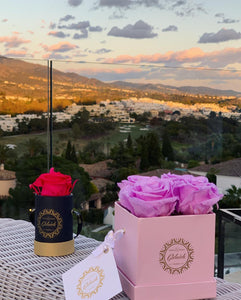 4 Roses  Velvet Square Box