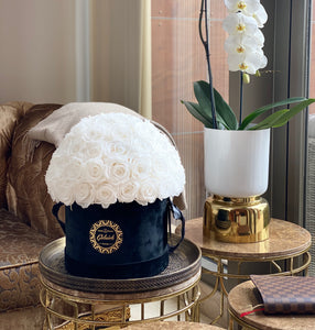 Velvet Special Collection bouquet with more than 60 Roses
