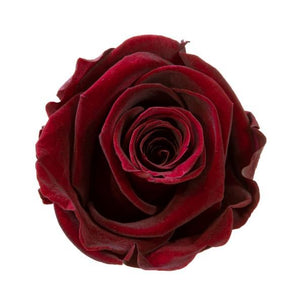 Luxury Big Round Velvet  bouquet wit more than 27 Roses