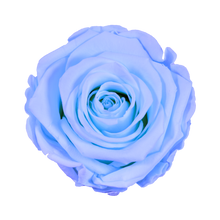 Luxury Big Round Velvet  bouquet wit more than 27 Roses