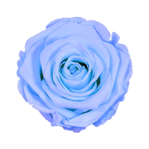 Small Luxury Round Velvet bouquet with more than  10 Roses