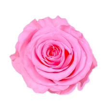 Luxury Big Round Velvet  bouquet wit more than 27 Roses