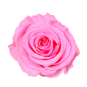 Luxury Big Round Velvet  bouquet wit more than 27 Roses