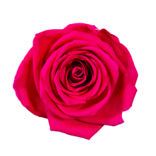 Small Luxury Round Velvet bouquet with more than  10 Roses