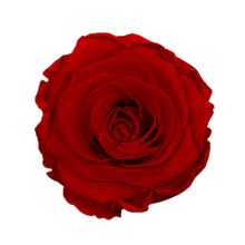 4 Roses  Velvet Square Box