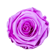 Small Luxury Round Velvet bouquet with more than  10 Roses