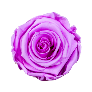 Small Luxury Round Velvet bouquet with more than  10 Roses