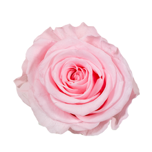 Small Luxury Round Velvet bouquet with more than  10 Roses
