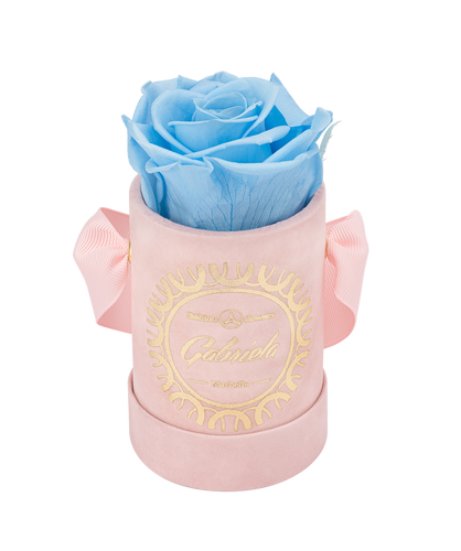1 Rose Velvet Round Box