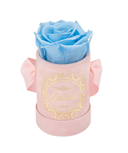 1 Rose Velvet Round Box