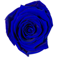 Small Luxury Round Velvet bouquet with more than  10 Roses