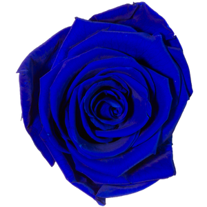 4 Roses  Velvet Square Box