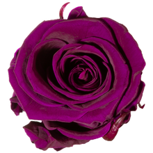 4 Roses  Velvet Square Box