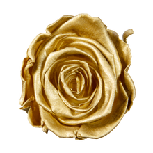 9 S sizes Roses Velvet Square box