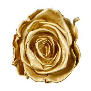 Small Luxury Round Velvet bouquet with more than  10 Roses