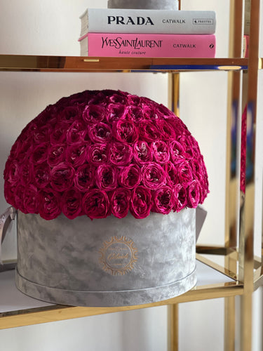 More than 200 English Roses