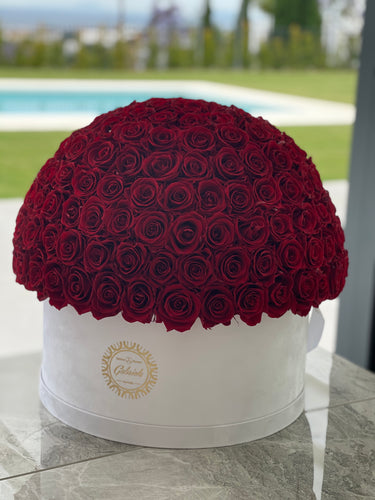 More than  200 Roses Desert Rose Collection