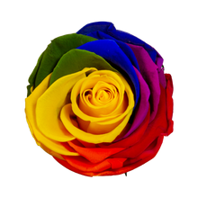 4 Roses  Velvet Square Box