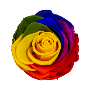 4 Roses  Velvet Square Box